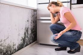 Best Residential Mold Inspection & Testing  in USA